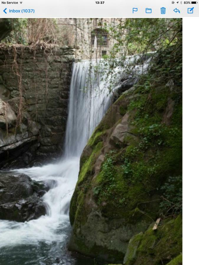 Appartamento Il Rosmarino Pelago Esterno foto