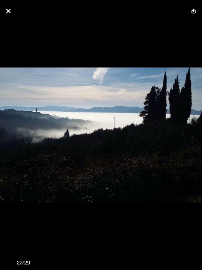 Appartamento Il Rosmarino Pelago Esterno foto