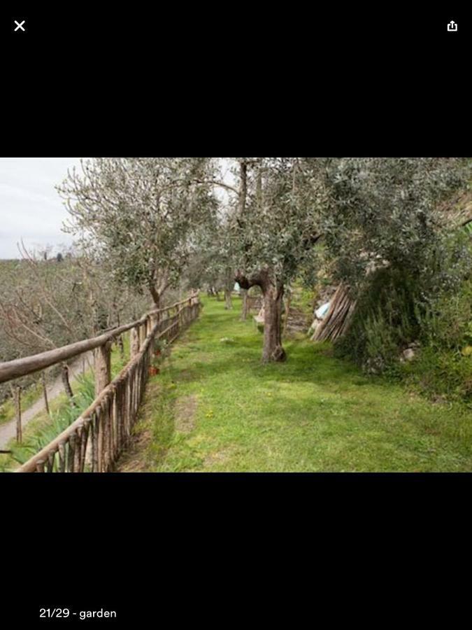 Appartamento Il Rosmarino Pelago Esterno foto